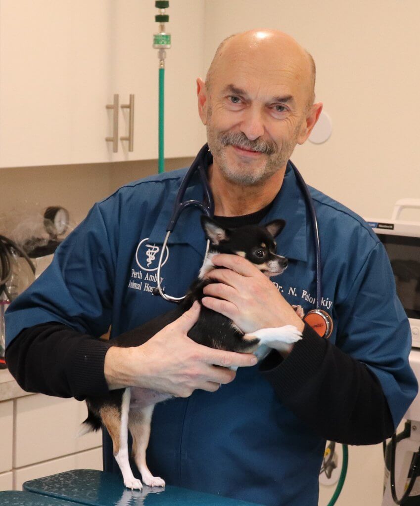 Dr. Naum Polonskiy - Animal Hospital of Perth Amboy