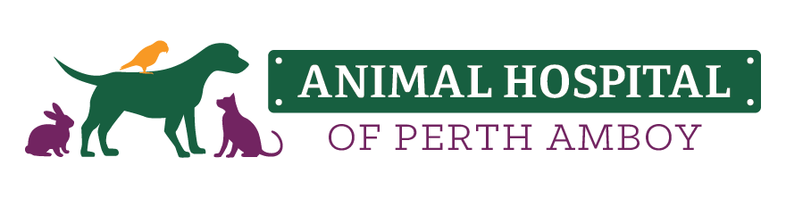 Veterinarian Near Me 08861 - Animal Hospital of Perth Amboy