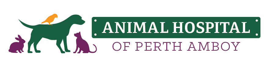 Make An Appointment With Us  Animal Hospital of Perth Amboy